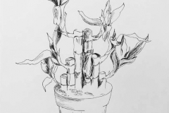 My Bamboo Sketch